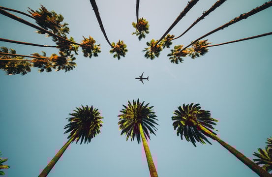 LA palm trees and flight - E-Commerce Connect Event